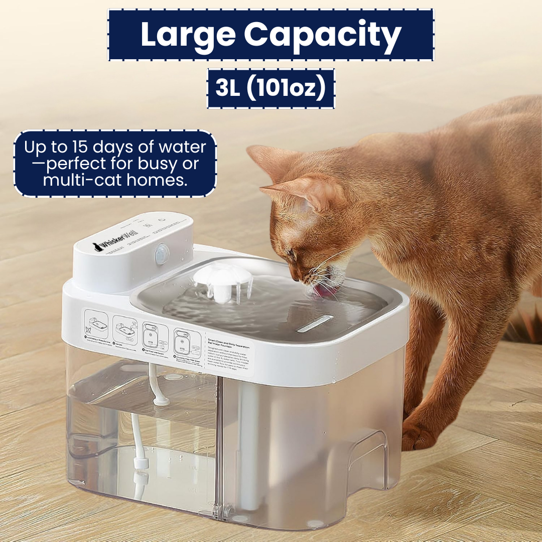 WhiskerWell - Cat Fountain