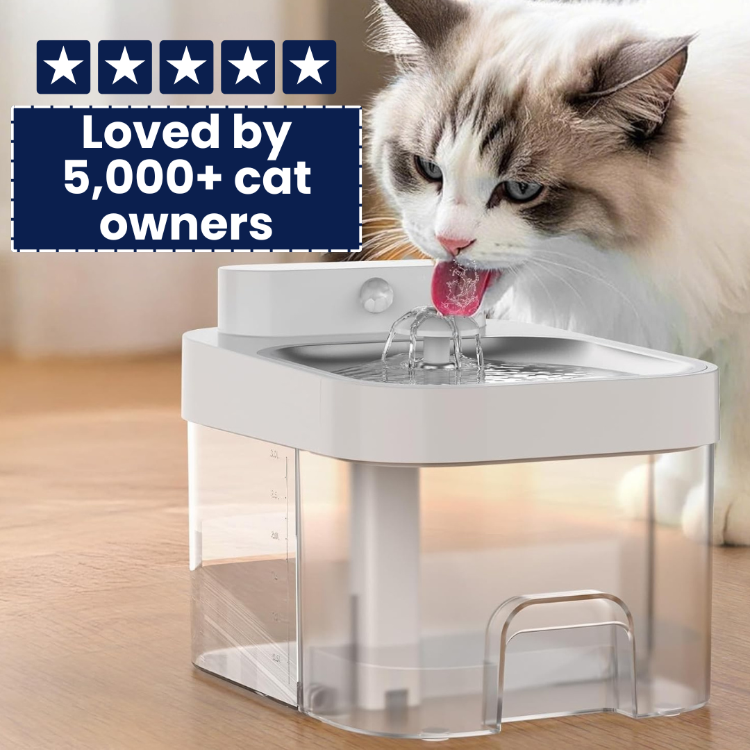 WhiskerWell - Cat Fountain