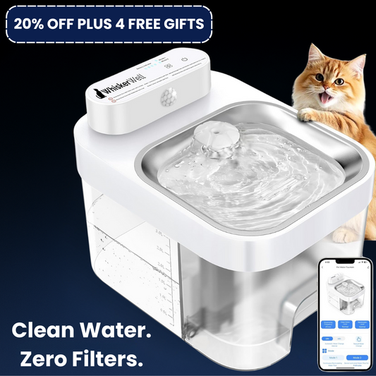 WhiskerWell - Cat Fountain